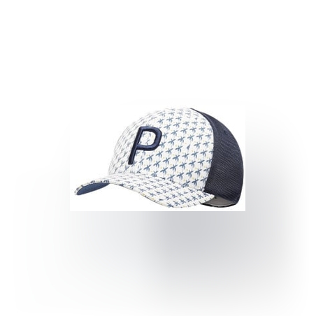 PUMA Palms Trucker P Snapback Cap White/Navy