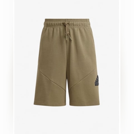 ADIDAS Sportswear Future Icons Logo Shorts Green