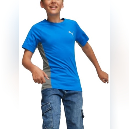 PUMA Evostripe DryCell Tee Blue