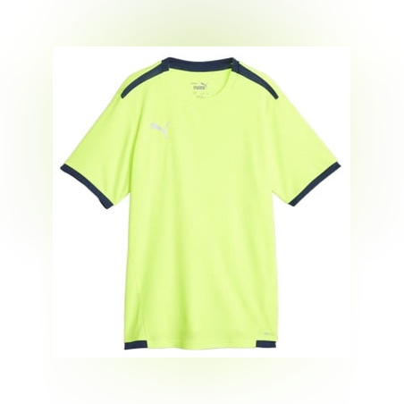 PUMA TeamLiga DryCell Football Tee Green
