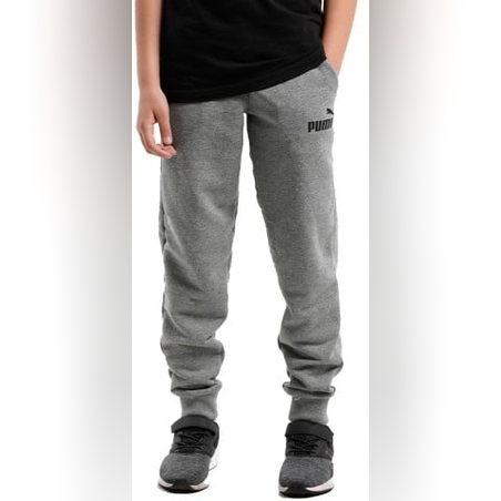 PUMA Essentials Logo Pants Grey