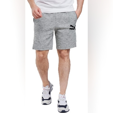 PUMA EvoTec Shorts Grey