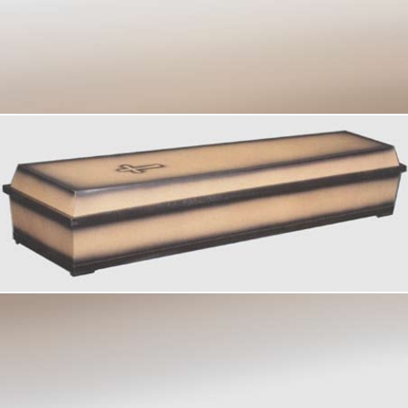 КОВЧЕГ СОЦИАЛЕН