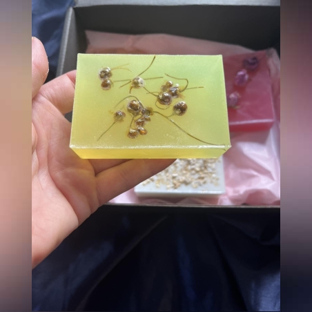 Ароматно пътешествие: от свежестта на цитрусите до мекотата на овеса