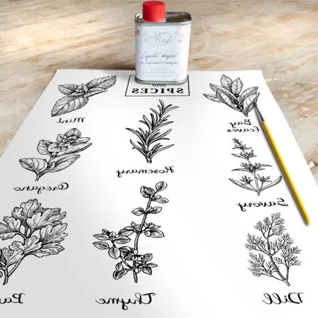 Хартия за трансфер Magic paint Винтидж Билки и подправки