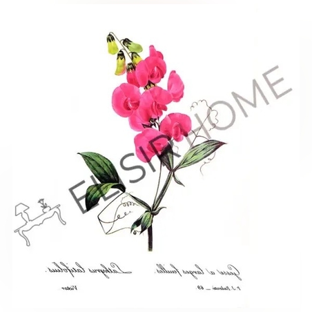 Хартия за трансфер Magic paint Ботаника Орхидея