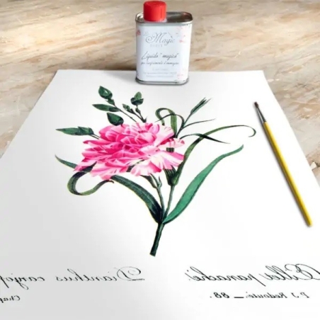 Хартия за трансфер Magic paint Ботаника Карамфил