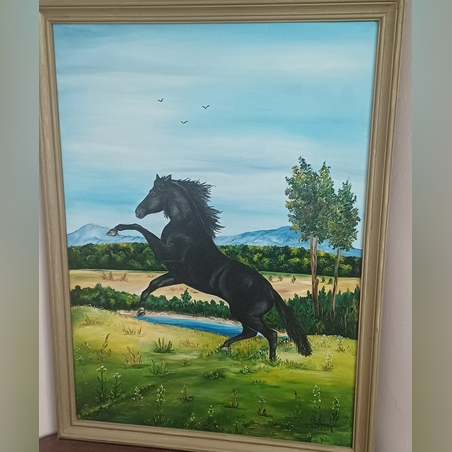 Черен мустанг