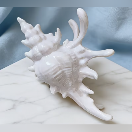 Shell Hair Claw Clips / White