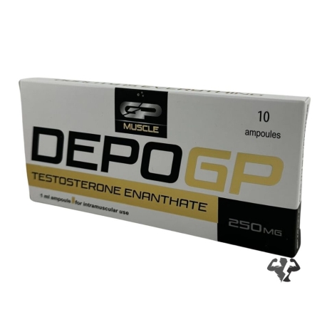 GP Muscle Depo - Testosterone Enanthate 10 amp 250 mg / ml