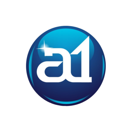 A1