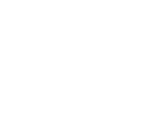 Leech