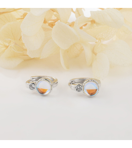 EVERYDAY SILVER EARRINGS - 2700000062371