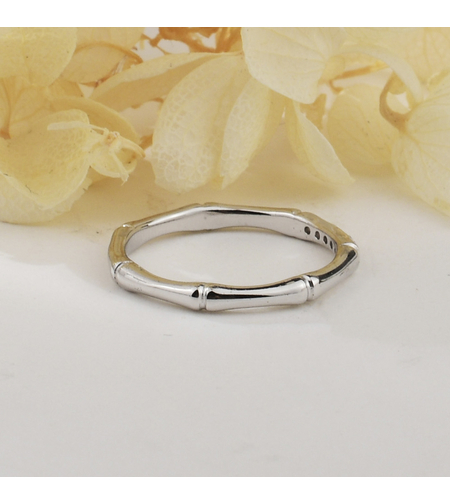 Сребърен пръстен нежна халка JL070372B | колекция Delicate Silver