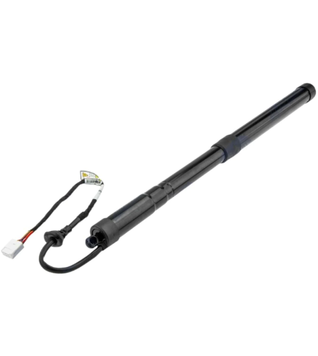 Амортисьор багажник десен ТОЙОТА РАВ TOYOTA RAV 4 A25AFXS 689100R060 68910-0R060 AETY032 AE-TY-032