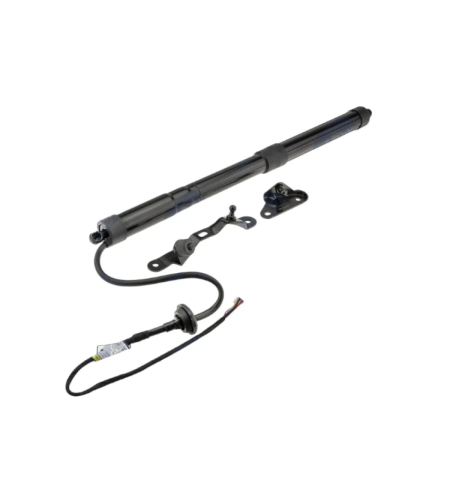 Амортисьор багажник десен ТОЙОТА РАВ 4 TOYOTA RAV 4 6891009010 68910-09010 AETY034 AE-TY-034