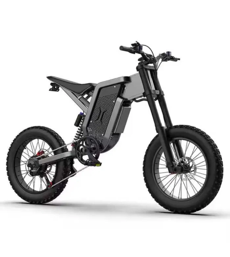 Електрически кросов мотор, EKX X21 ,2000W, 35AH/48V