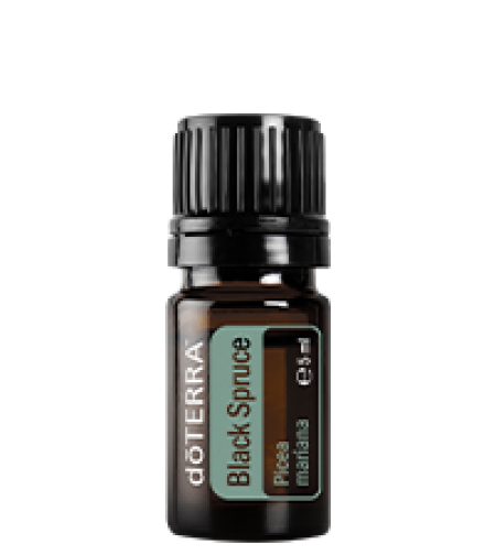 Етерично масло от черен смърч/ black spruce doTERRA 5ml
