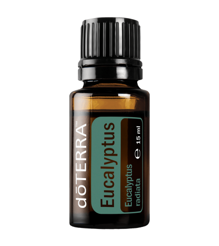 Етерично масло от Евкалипт/Eucalyptus doTERRA 15 мл