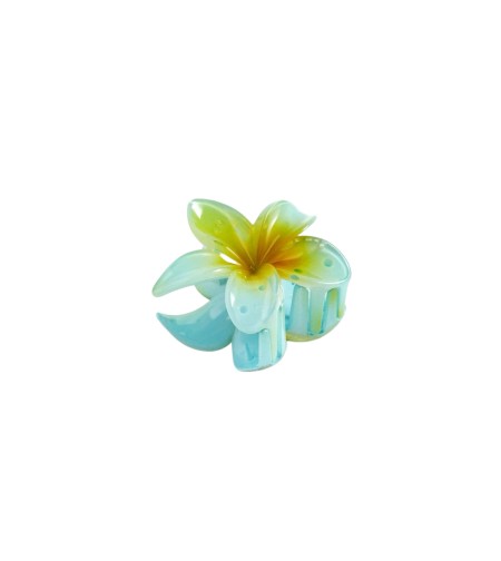 CUSTOM PLUMERIA CLIP in NA’AU