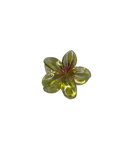 CUSTOM PLUMERIA CLIP in MAILE