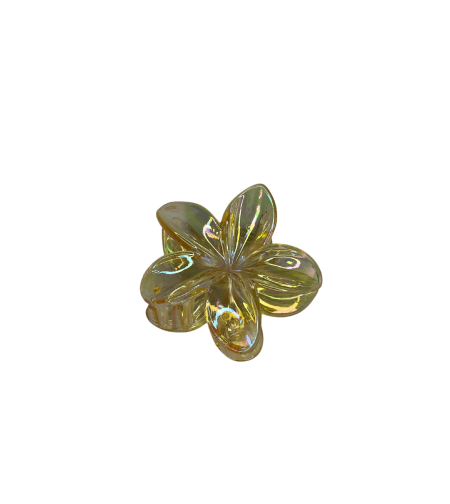 CUSTOM PLUMERIA CLIP in I’LIMA