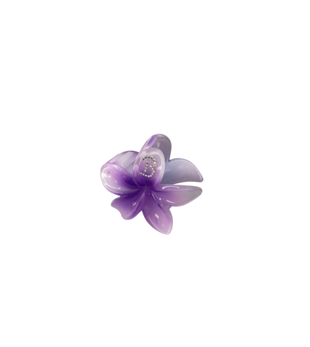 CUSTOM PLUMERIA CLIP in MAUI
