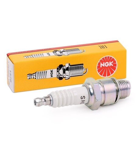 NGK Запалителна свещ 4210 B5S