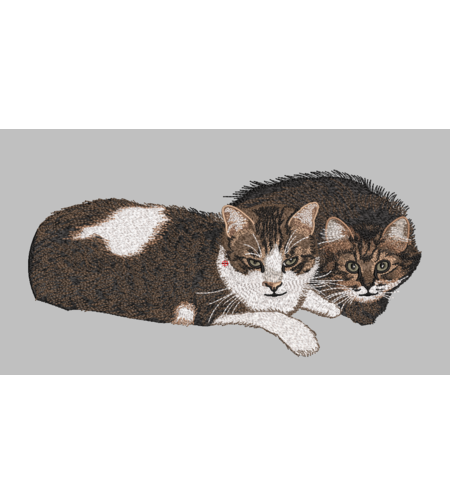 Котета 223