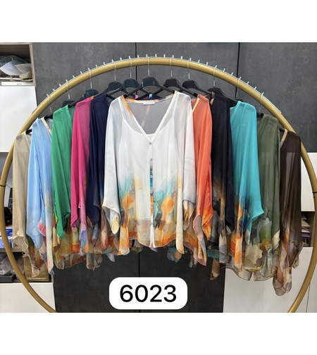 БЛУЗИ 6023