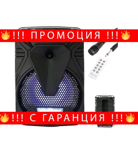 НЕМСКО Активна Bluetooth караоке тонколона 8