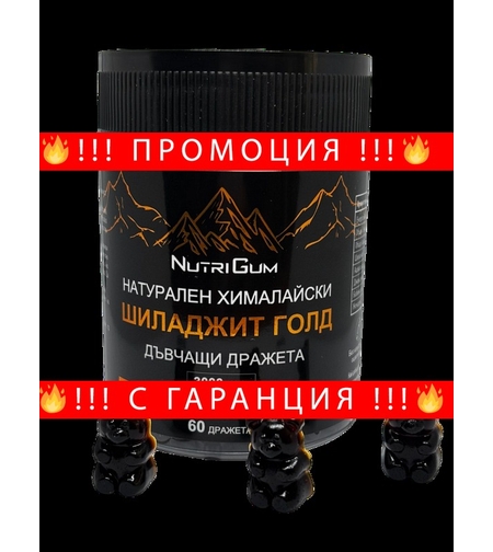 НЕМСКИ Хималайски Шиладжит с Ашваганда, дъвчащи МЕЧЕТА 3000mg 60бр. Shilajit Gold + ЛЕД ФЕНЕР