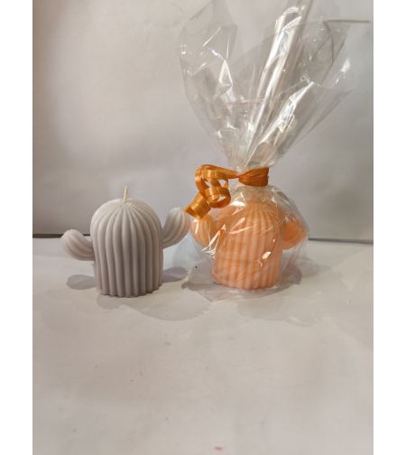 Кактус малък