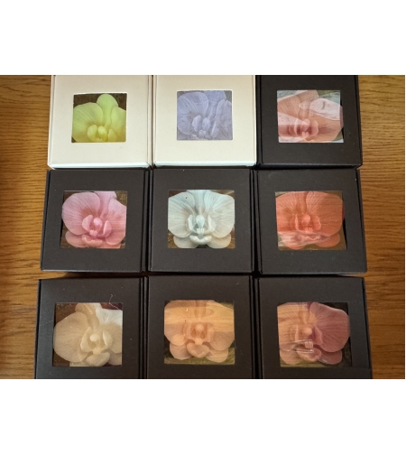 орхидея в кутийка със скандинавски мах