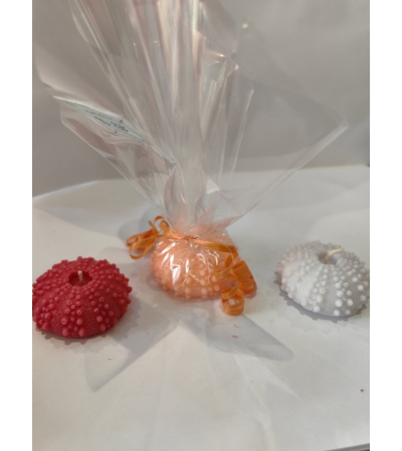 Морски Таралеж