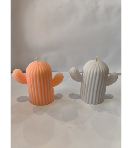 Кактус голям