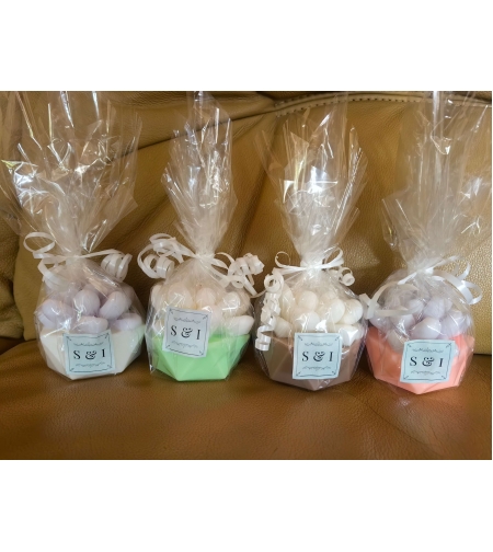 сукулент- със саксия