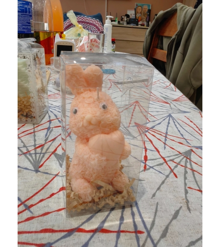 заек рози сърце