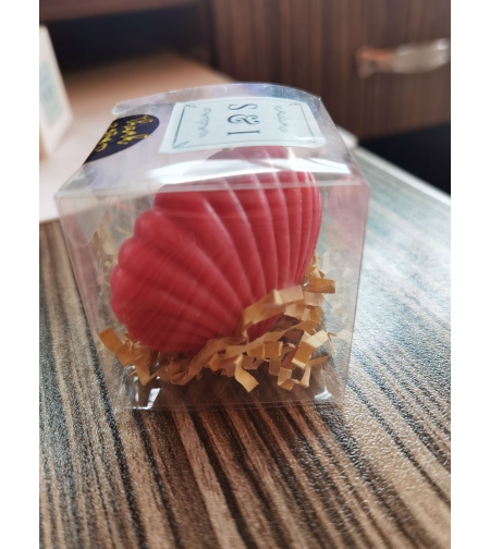 мида черупка