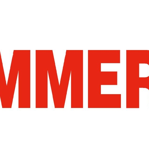 Immergas