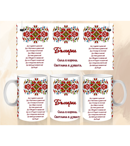 Чаша България 5