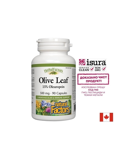 Olive Leaf / Маслина (лист) 500 mg х 90 капсули Natural Factors