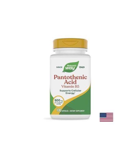 Pantothenic Acid (Vitamin B5) - Пантотенова киселина (Витамин В5), 100 капсули Nature’s Way