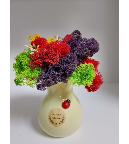 Сувенир от Исландски мъх