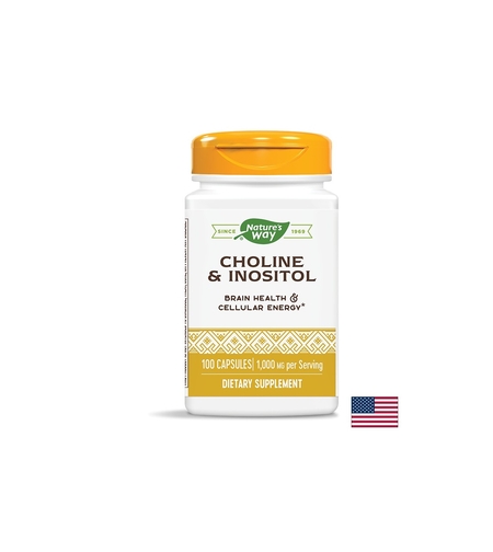 Choline & Inositol –Холин и инозитол - Невропротекция и метаболитен профил, 500 mg, 100 капсули Nature’s Way