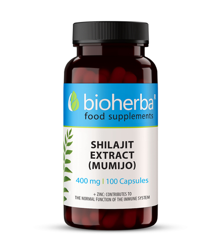 МУМИО ЕКСТРАКТ / ШИЛАДЖИТ (Shilajit Extract ), Биохерба, 400 мг. 60 капс.
