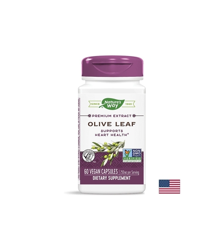 Olive Leaf / Маслина (лист) 430 mg x 60 капсули Nature’s Way