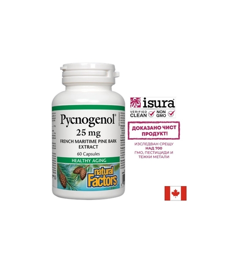 Pycnogenol® - Пикногенол, 25 mg, 60 капсули Natural Factors
