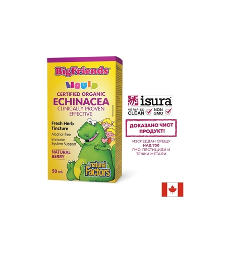 Ехинацея BigFriends® – Имунна подкрепа за деца и възрастни, 1000 mg, 50 ml