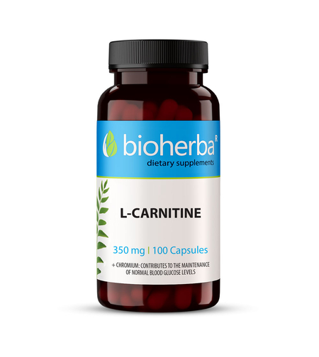 Л-КАРНИТИН / L-CARNITINE, 100 капсули, 350 мг, Биохерба